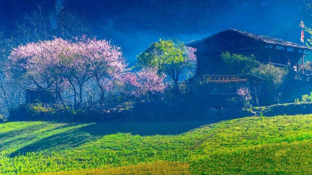 逃离梦想花园