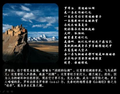 哈经开区企业党群服务中心妇女联合会成立